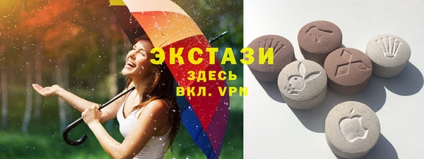 ECSTASY Богданович
