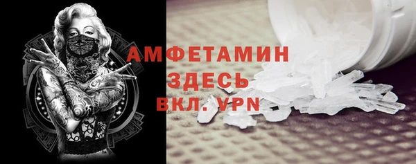 ECSTASY Богданович