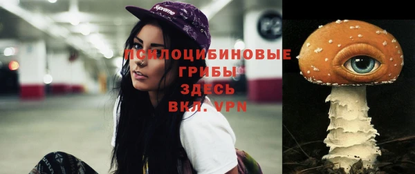 ECSTASY Богданович