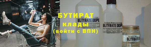 сатива Ростов