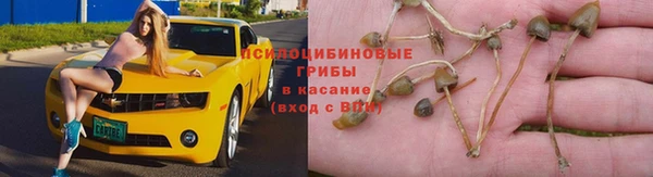 ECSTASY Богданович