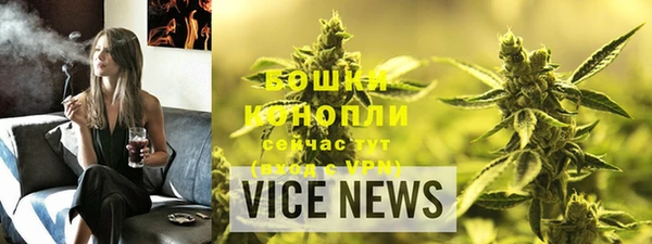 ECSTASY Богданович