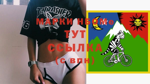 ECSTASY Богданович