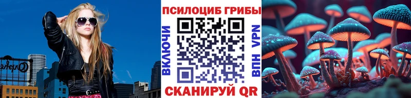 MEGA сайт  Торжок  Псилоцибиновые грибы GOLDEN TEACHER 